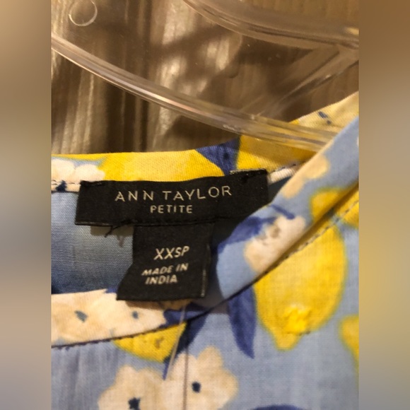 Petite Lemon Ruffle Sleeve Maxi Dress - Picture 4 of 4